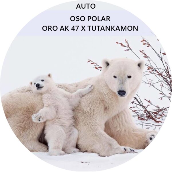 OSO POLAR