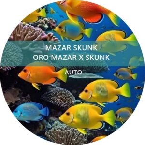 MAZAR SKUNK