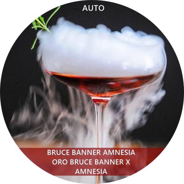 BRUCE BANNER AMNESIA