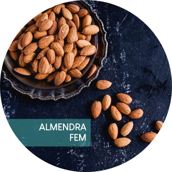 ALMENDRA