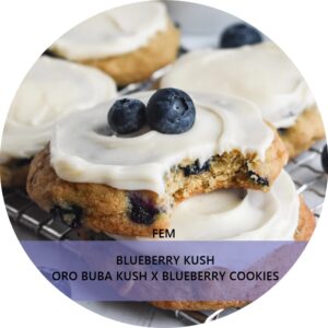 BLUEBERRY KUSH