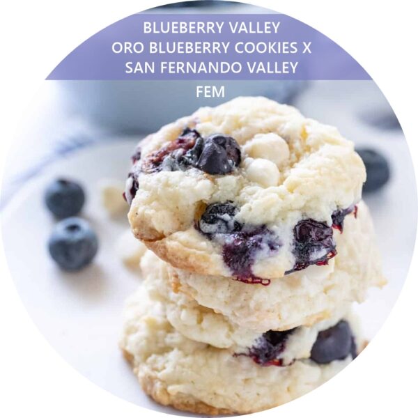 BLUEBERRY VALLEY