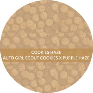 COOKIES HAZE
