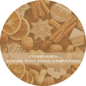 COOKIES PUNCH
