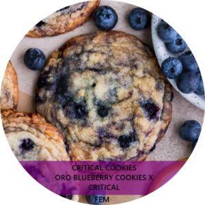 CRITICAL COOKIES