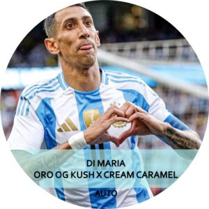 DI MARÍA