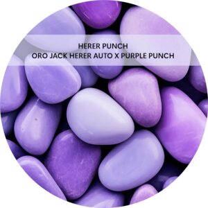 HERER PUNCH
