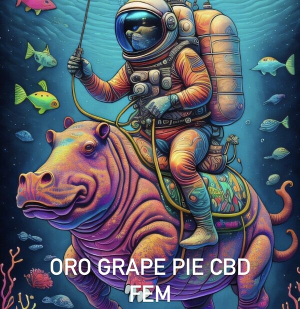 ORO GRAPE PIE CBD