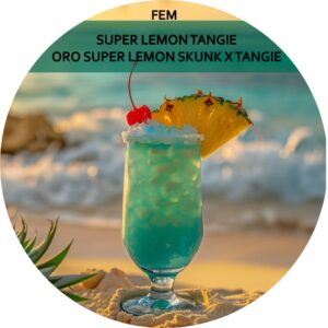 SUPER LEMON TANGIE