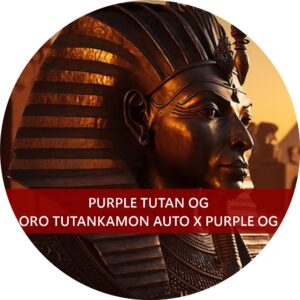 PURPLE TUTAN OG