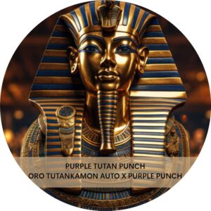 PURPLE TUTAN PUNCH