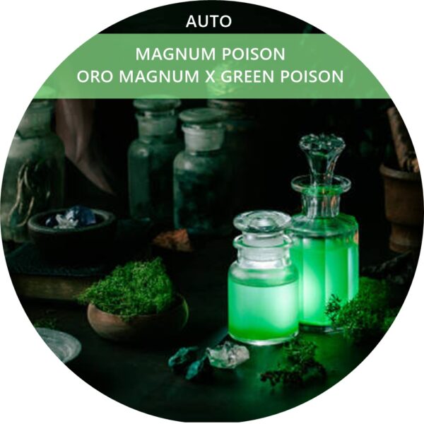 MAGNUM POISON