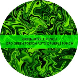 GREEN PURPLE PUNCH