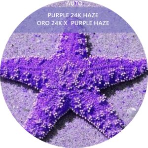 PURPLE 24 K HAZE