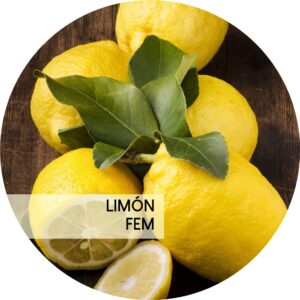 LIMÓN
