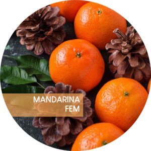 MANDARINA