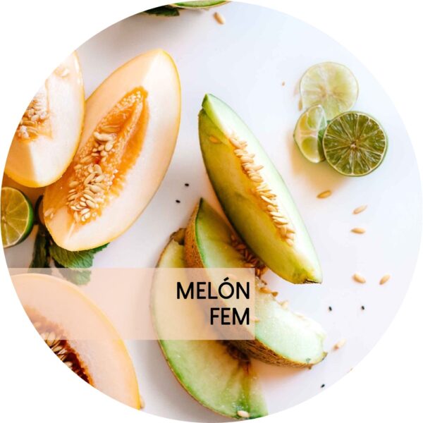 MELÓN