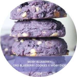 MOBY BLUEBERRY