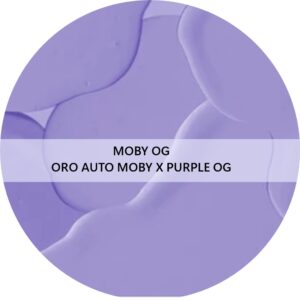MOBY OG