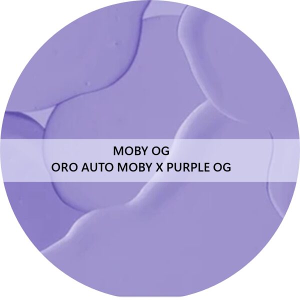 MOBY OG