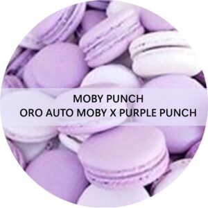 MOBY PUNCH