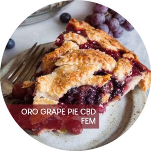 ORO GRAPE PIE CBD