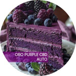 ORO PURPLE CBD