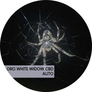 ORO WHITE WIDOW CBD