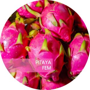 PITAYA