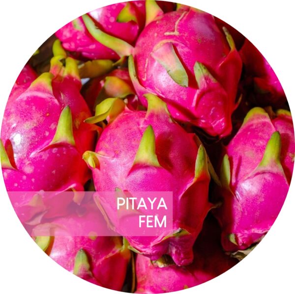 PITAYA