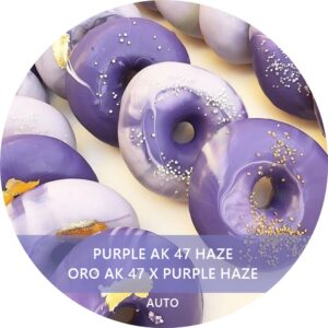 PURPLE AK 47 HAZE