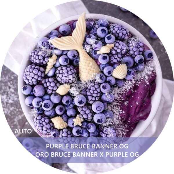 PURPLE BRUCE BANNER OG