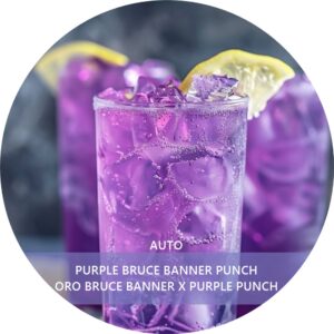 PURPLE BRUCE BANNER PUNCH
