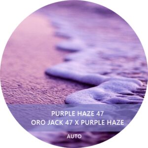 PURPLE HAZE 47