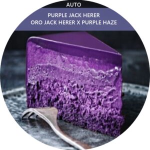 PURPLE JACK HERER