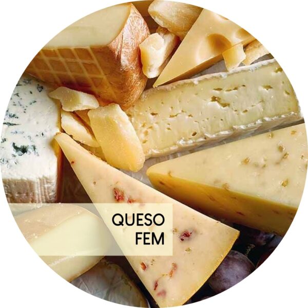QUESO