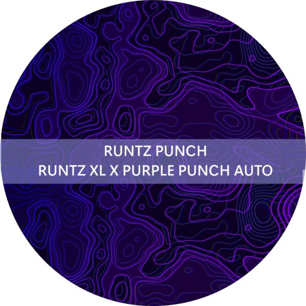 RUNTZ PUNCH