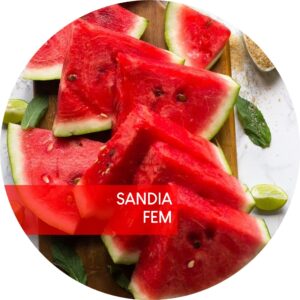 SANDÍA