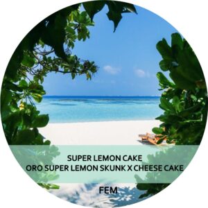 SUPER LEMON CAKE