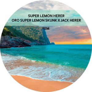 SUPER LEMON HERER