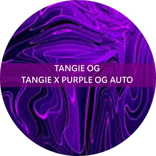 TANGIE OG