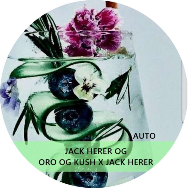 JACK HERER OG