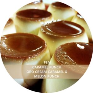 CARAMEL PUNCH