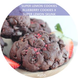 SUPER LEMON COOKIES