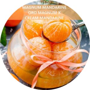MAGNUM MANDARINE