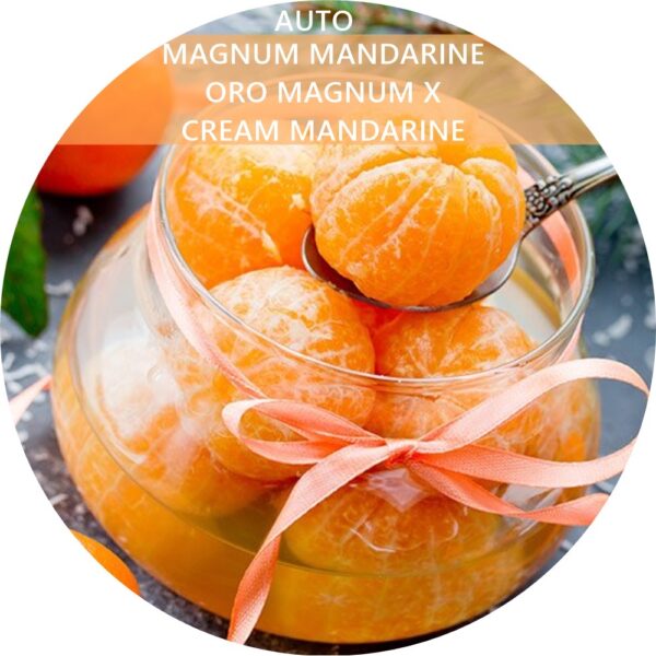 MAGNUM MANDARINE