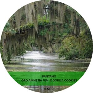 PANTANO