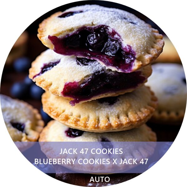 JACK 47 COOKIES