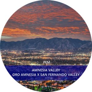 AMNESIA VALLEY