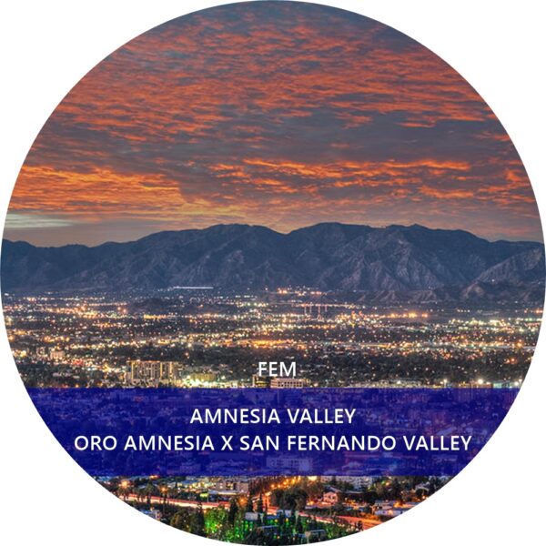 AMNESIA VALLEY